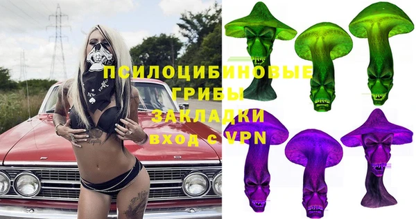 твердый Горнозаводск