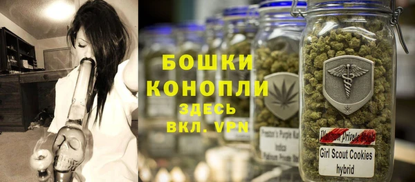 твердый Горнозаводск