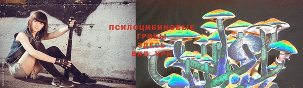 твердый Горнозаводск