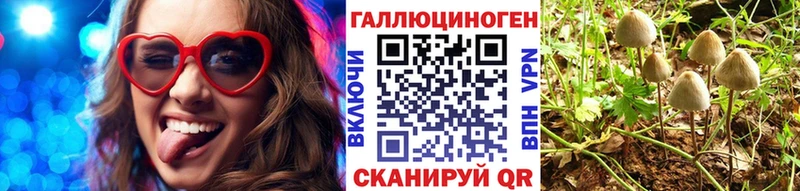 Галлюциногенные грибы Cubensis  Купить  Каргополь 